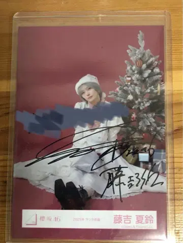 사쿠라자카46 친필 사인 브로마이드 후지요시 카린 2025년 산타 의상
