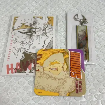 호크스 메탈 키링 코스터 원신 카드 컬렉션 원화전