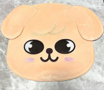 straykids 스키즈 skzoo 승민 부채 커버 퍼핌