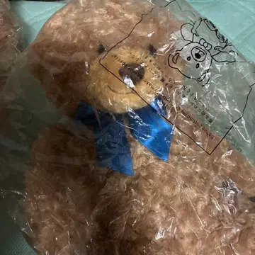 허니 테디베어 묶음 판매