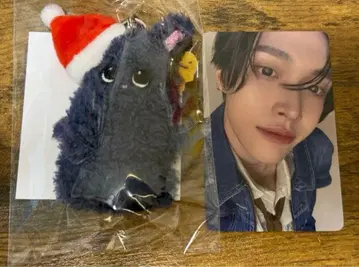 RIIZE 토냥독 원빈109 팝업 손가락 인형 구매 혜택 트레이딩 카드