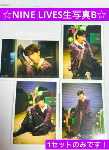 초특급 료가 NINE LIVES 브로마이드 B 세미 컴프 세트