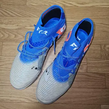 퓨처 8 ULTIMATE FOREVER AG