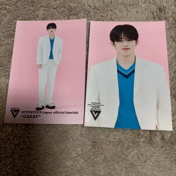 SEVENTEEN 에스쿱스 로손 프린트