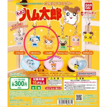 두근두근 햄토리 메지루시 액세서리