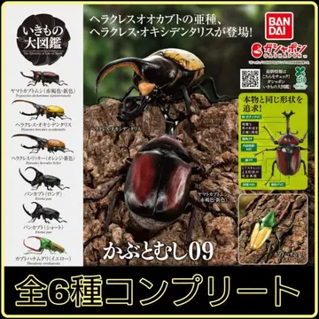 [ 새상품 ] 생물대도감 사슴벌레09 전 6종 컴플리트