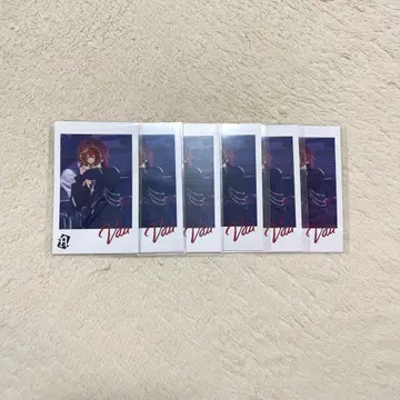 KnightX  포토 카드 AllVIN 6장 세트