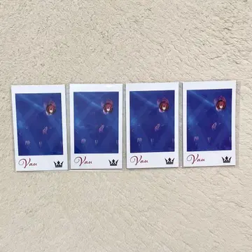 KnightX  포토 카드 EDEN 4장 세트