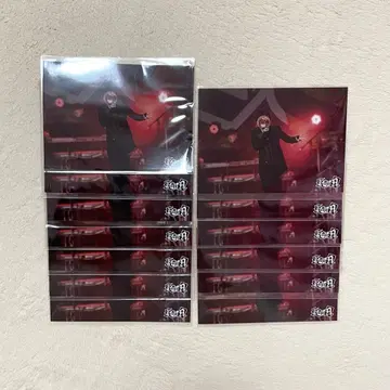 KnightX 바우 브로마이드 13장 세트