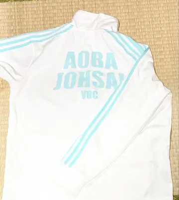 하이큐 아오바조사이 고등학교 저지 상의 공식