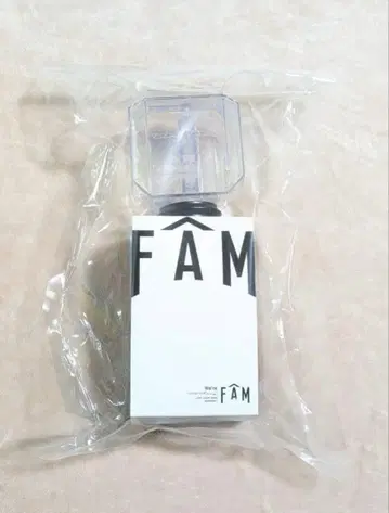 [ 당일 발송 배터리 포함 ] FAM We're timelesz 응원봉