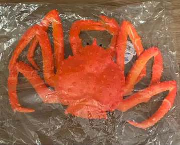 타라바가니 액션 피규어 BIG