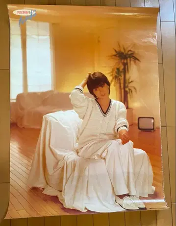 카와이 나오코 특대형 포스터