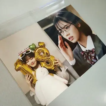 시다 호박 사진 (2L판) 2매 세트