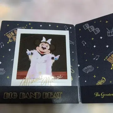 도쿄 디즈니 시 미니 사진 폴라로이드