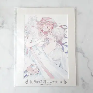 꽃으로 감춘 너의 메테올 페이보릿 포트레이트E 꽃메 라비 스텔라 한정판