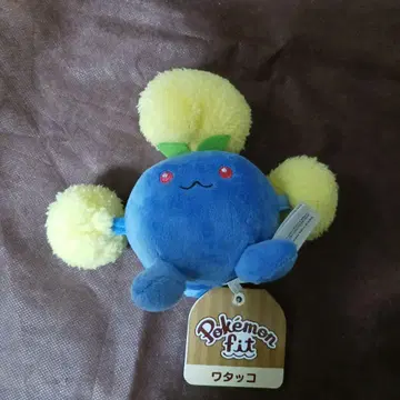 포켓몬 와타 봉제 인형 fit