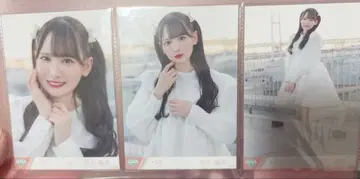 스즈키 히토미 컴프 너는 스파클