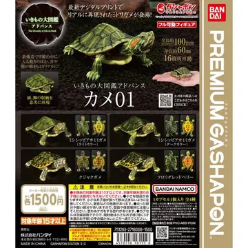 생물대도감 어드밴스 거북이 01 미시시피붉은귀거북 (라이트 컬러)