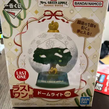 Mrs. GREEN APPLE 돔 라이트 라스트 원상