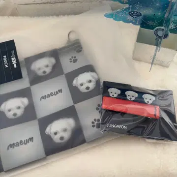 ENHYPEN JUNGWON Artist-Made 파우치 헤어핀 세트