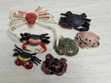 생물대도감 어드밴스 게 게