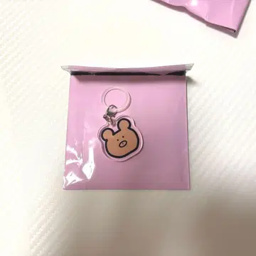 사쿠라자카46 메지루시 참 타무라 호노