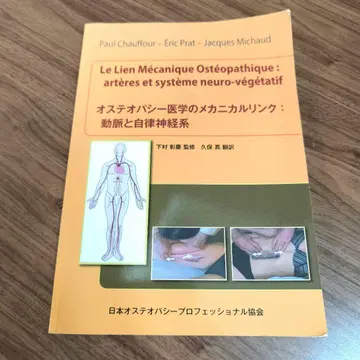 골병리학의 메카니컬 링크 : 동맥과 자율신경계