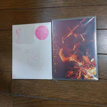 BONNIE PINK DVD 2장