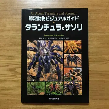 절족동물 비주얼 가이드 타란툴라 & 전갈