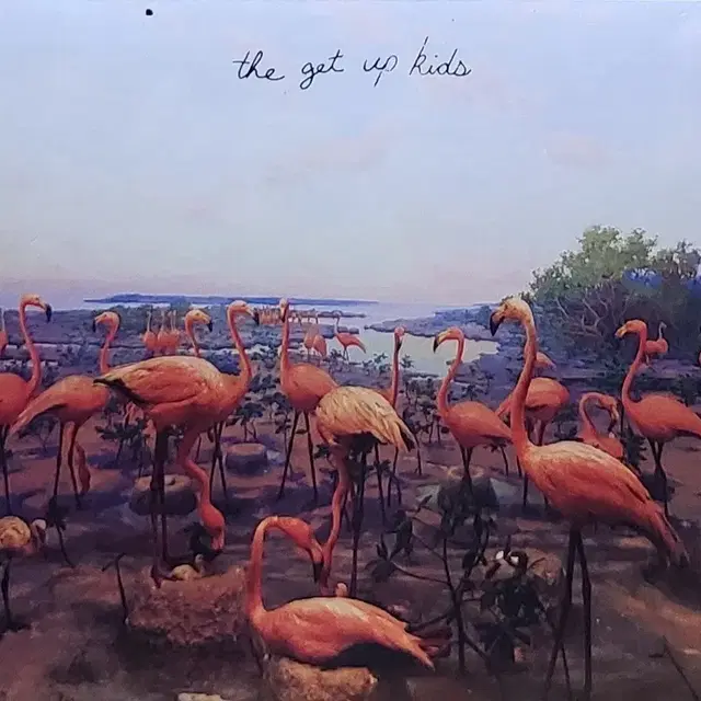 No.271. CD. The Get Up Kids 플라밍고 앨범