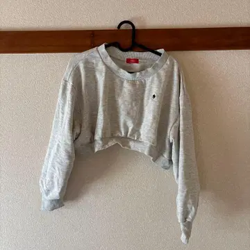 폴로 그레이 크롭 맨투맨 미니 기장