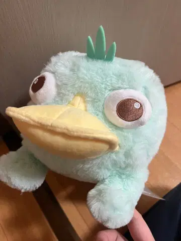 디즈니 피니와 퍼브 카모나시 페리 페리 봉제 인형 새상품 택