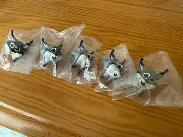 주토피아 2 패션 반지 파우버트 5개