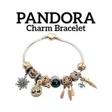 판도라 참 팔찌 MET 실버 로즈 골드 마차