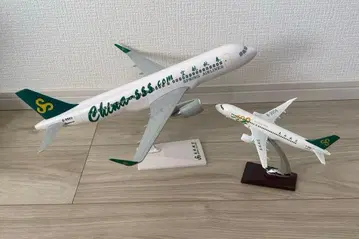 SPRING AIRLINES 춘추항공 모델