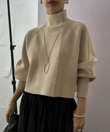 WIDE STRIPE KNIT TOP 리브 니트 Ameri