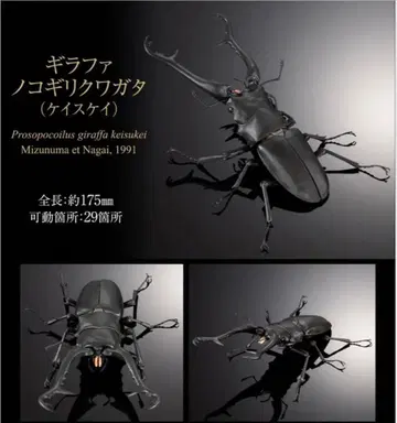 생물대도감 어드밴스