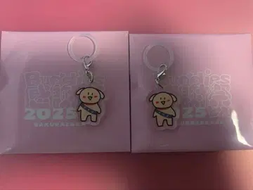 사쿠라자카46 타니구치 아이리 메지루시 참