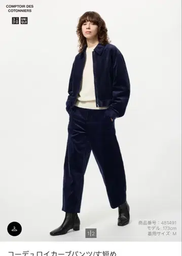 콩트와르 데코토니에 유니클로 코듀로이 커브 팬츠 (기장 짧음)