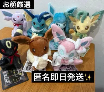 이브이 컬렉션 봉제 인형 7종 세트