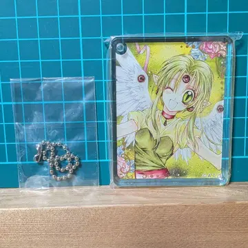 카미카제 괴도 잔느 코롯타 타네무라 아리나 핀