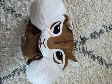 쵸리스의 담요 JA