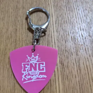 hi-fi unicorn 기타 피크형 키링