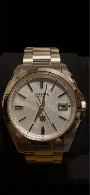 CITIZEN 실버 한정판 모델 300개 AQ4060-50W