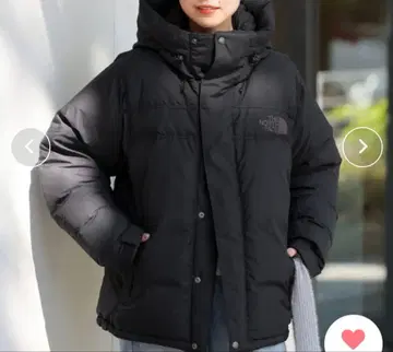 THE NORTH FACE Alteration Baffs Jacket