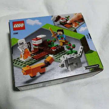 LEGO Minecraft 마인크래프트 21162