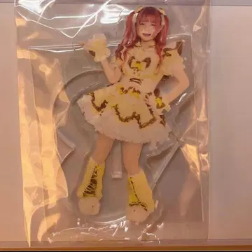 NANIMONO 네무기시 푸린 생일 축하 아크릴 스탠드