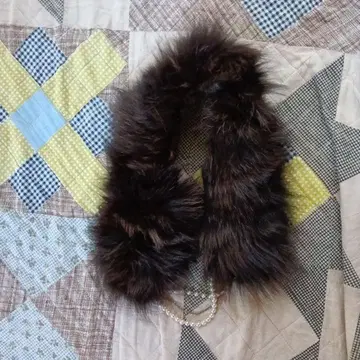 마리 퀀트 쇼룸