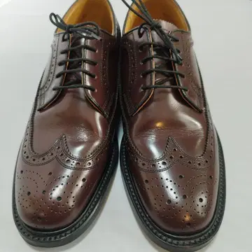 REGAL 윙팁 비즈니스 슈즈 25